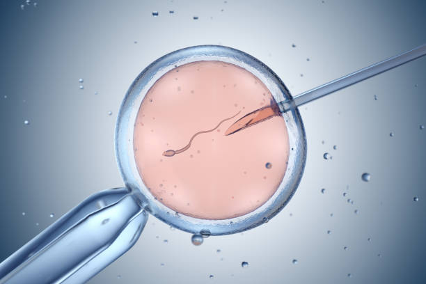 IVF and Technology